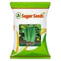 Sagar Siya F1 Hybrid Cucumber Seeds, High Yield, Light Green, Cylindrical Shape