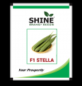 Ridge Gourd Stella F1 Hybrid - Shine Brand Seeds, Turai Ke Beej, Attractive green color