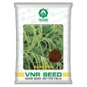 VNR Baramasi Cowpea OP Seeds, High Yield, Produces Long, Green To White Fruits