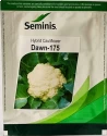 Cauliflower Hybrid Seeds of Seminis of Seminis