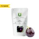 Urja F1 Hybrid US 3233 (Round) Brinjal Seeds, Dark Purple Erect Medium Spread Plant