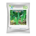 Iris IHS-009 F1 Hybrid Cucumber Seeds, High Yield Green Variety For Rainy Season Cultivation