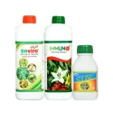 Chilli Virus Special (Immuno 500ml + Enviro 500ml + Cyto Plus 300ml), Best Against Leaves Curling, Crinkling And Distortion.