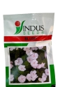 Indus Seeds Vinca Blush Flower Seed, Well Suited For Pots And Beds, Retain Color In High Sunlight