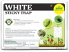Greeen Revolution White Sticky Traps A4 Size, Recommended For Flower Thrips Or Black Thrips.