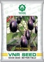 VNR Mukta Moti F1 Hybrid Brinjal Seeds, Bengan Ke Beej, Oval Fruits with Purple Calyx