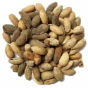 Natural Seeds of Pioneer Agro Industry of Pioneer Agro Industry