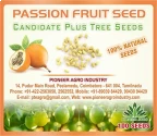 Natural Seeds of Pioneer Agro Industry of Pioneer Agro Industry