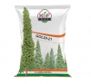 Goldi 21 Re. Hybrid Castor Seed - Arandee Ke Beej, Field Crop Seeds, High Yielding Variety