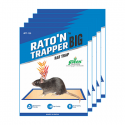 Mouse Glue Trap, Raton n Trapper, Can be use for  Home, Warehouse, Agri culture, Factory, False Ceiling. Ready to use product.