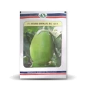 Brinjal Hybrid Seeds of Sungro Seeds Pvt. of Sungro Seeds Pvt.