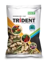 Trichoderma Viride 1.5% W.P. of Bharat Agro Chemicals of Bharat Agro Chemicals