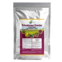 Vikalp Trichoderma Asperellum 2% Bio-Fungicide Powder, Improves Immunity And Nutrient For Better Yield
