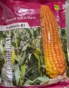 Hybrid Badshah-81 Fodder Purpose Maize Seeds For all Seasons, Makka Ke Beej