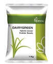 Crystal Dairy Green SSG Hybrid Jower Fodder Seeds, Single Cut Forage for Direct Feeding and Silage