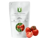 Tomato General Seeds of Urja Agriculture Company of Urja Agriculture Company