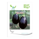 Iris Eklavya F1 Hybrid Brinjal Seeds, Oblong, Glossy Black-Purple And Early Harvest Variety