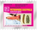 Pheromone Trap With Pectinophera Gossypilla Lure (10 Pack) Trap and Lure, Complete Set for Cotton Pink Bollworm, Protects Crops From Harmful Pests