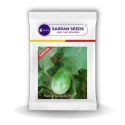 Sarpan Kudachi 501 Hybrid Brinjal Seeds, Nonspiny and Green Striped, Oblong Fruit