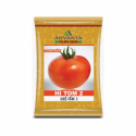 Advanta Golden F1 Hybrid HI-Tom 2 Tomato Seeds, Determinate, Flat Round Shape