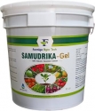 Farmigo Agro Tech Samudrika - Gel Plant Growth Promoter, 100% Natural Seaweed Extract