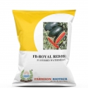 Farmson FB-Royal Red (RR) F1 Hybrid Watermelon Seeds, Icebox Capsules Type Hybrid, Oval Shape