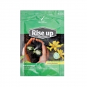 Unlock the Power of Growth: Rise Up Rooting Hormone - Your Secret to Strong and Lush Roots!(100 grams) 