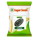 Sagar Anu F1 Hybrid Pumpkin Seeds, High Yield, Excellent Taste, Dark Green Oval Fruits