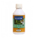 Dr. Bacto's Glucon, Nitrogen Fixes In Roots, Stems Leaves of Sugarcane Plant