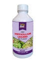 EBS Verticillium Lecanii Bio Pesticide, Used To Make Biological Insecticides. It Is Primarily Used To Control Greenhouse Aphids, Whiteflies.