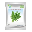 Iris OP Rocket Leaves Wild Seeds, Edible Leafy Green, Brigh Green, Ideal For Salads, Garnishes, and Culinary Use