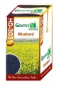 Gentex Hybrid Black Color Mustard Seeds HD 3031, Sarson Ke Beej, Sarsav Na Bee, Good Germination Quality.