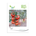 Iris Nancy F1 Hybrid Tomato Seeds, Flat Round, High Yield, TYLCV And Bacterial Wilt Tolerant