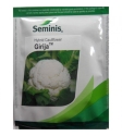 Seminis F1 Hybrid Girija Cauliflower Vegetable Seeds, Milky White Color, Dome shaped And Compact