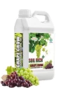 Grapes Special of AMRUTH ORGANIC FERTILIZERS of AMRUTH ORGANIC FERTILIZERS