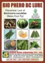 Sonkul Agro Industries Combo Of BIO PHERO BC Bactrocera cucurbitae (Melon Fruit Fly) Lure & Glass Trap 
