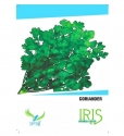 Iris Hybrid Coriander Vegetable Seeds, Dhaniya Beej, Broad Green Leaves, Excellent Quality (100 Seeds)