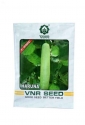 VNR Haruna F1 Hybrid Bottle Gourd Seeds , With Different Varieties Very Early Hybrid And Early Bulker