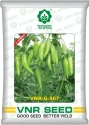 Chilli Seeds (Achari Type) of VNR Seeds Pvt. of VNR Seeds Pvt.