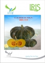 Iris Hybrid Vegetable Seeds F1 Hybrid Pumpkin IHS-333 Good for Vigorous Plant