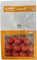 Tomato Hybrid Seeds of Nunhems India Pvt. of Nunhems India Pvt.
