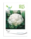 Cauliflower Hybrid Seeds of Iris Hybrid Pvt. of Iris Hybrid Pvt.