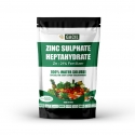GACIL Super Zinc Sulphate , Zinc 21%, Micronutrient Fertlizer For All Plants And Crops.