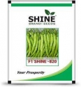 Chilli Shine 820 F1 Hybrid - Shine Brand Seeds, Mirchi Beej, Light Green Color