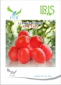 Iris Hybrid Vegetable Seeds F1 Hybrid Tomato Captain Suitable for Semi determinate