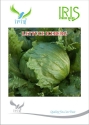 Iris Vegetable Seeds Imported Lettuce Iceberg Seeds, Fine Quality, For Balcony or Terrace Gardening