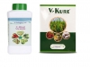 Vanproz Combo Offer (V Bind 250 Ml + V Kure 250 Gm) For Controlling Papaya and Chilli Viral, Bacterial & Fungal Disease