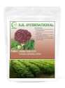 Subabul Seeds of S.K.International of S.K.International