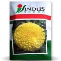 Indus Marigold Tennis Ball Seeds, Genda Fool Seeds , Lemon Yellow Colour Flower , Very Heavy Yeild , 100 Seeds Pack