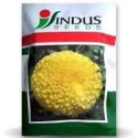 Marigold Seeds of Indus Seeds of Indus Seeds